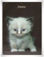 /album/amira/amira-5-hetes-001-jpg/